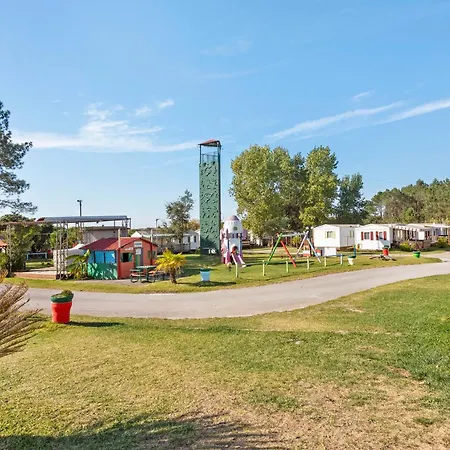 T2 I V- 15 Min From Nazare